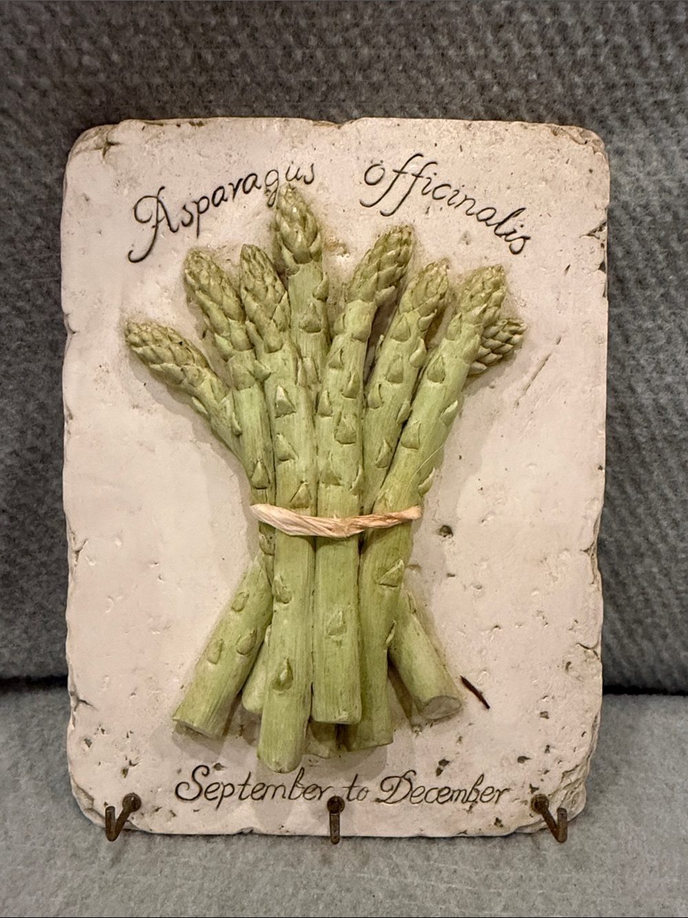 Botanical Asparagus Wall Hook Plaque in Light Green — Decorative Kitchen Hook